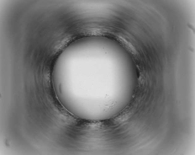 X0000096210306200802011327