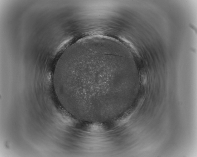 X0000096210308200802011327