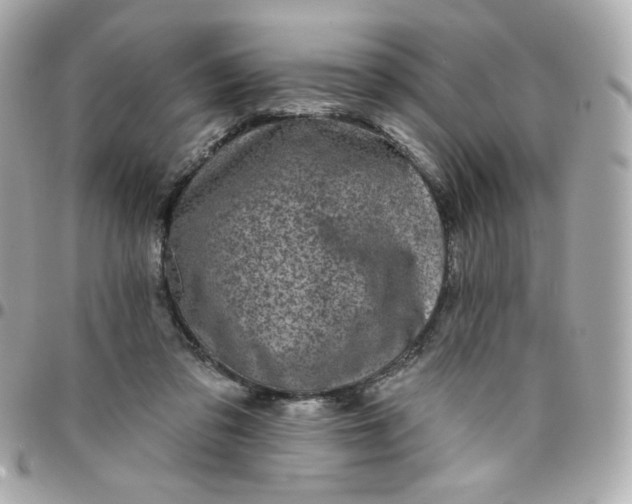 X0000096210309200802011327