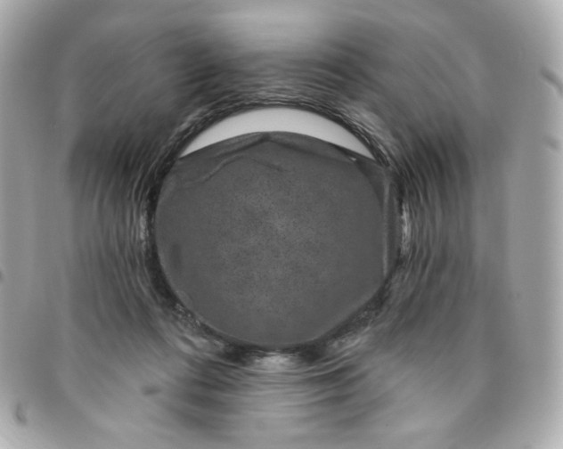 X0000096210312200802011327