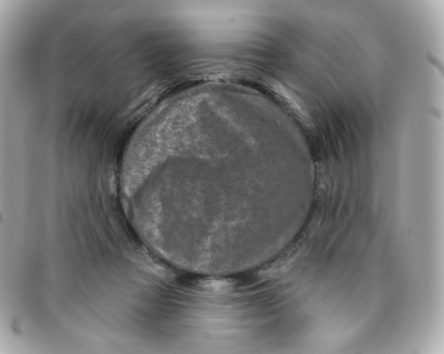 X0000096210313200802011327