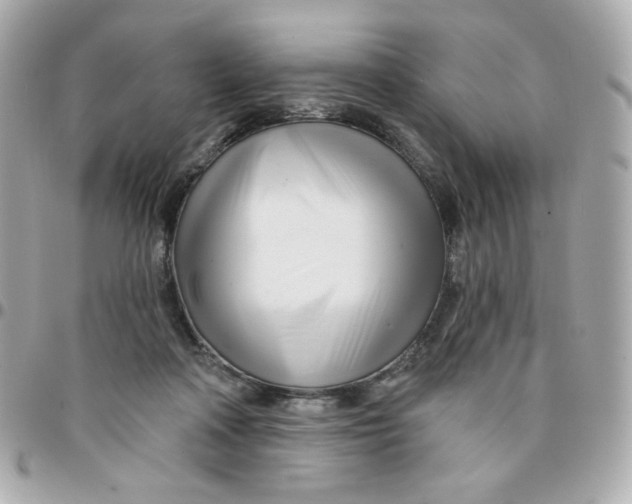 X0000096210314200802011327