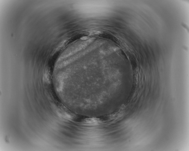 X0000096210316200802011327