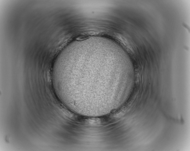 X0000096210317200802011326