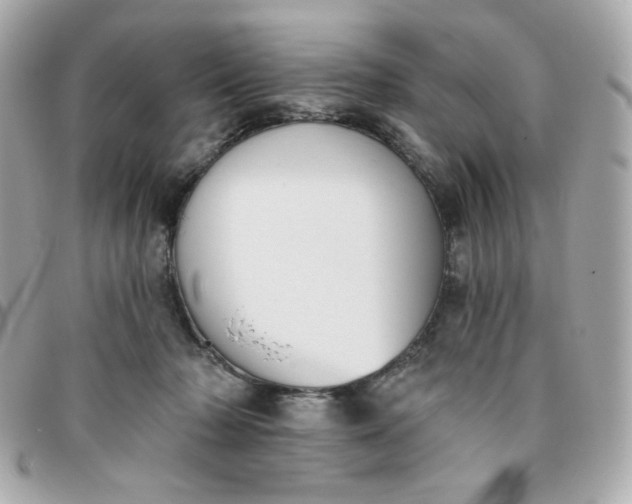 X0000096210318200802011326