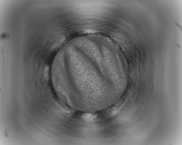 X0000096210319200802011326