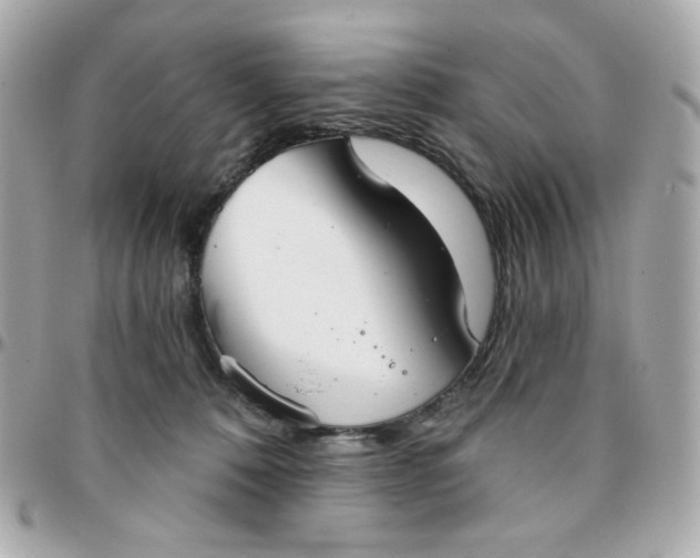 X0000096210320200802011326