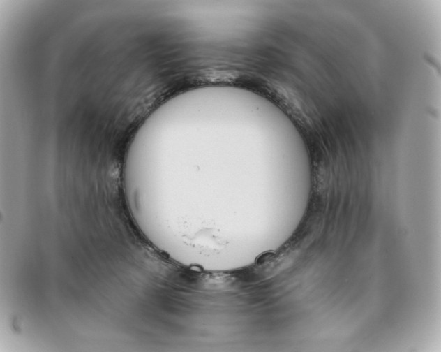 X0000096210321200802011326