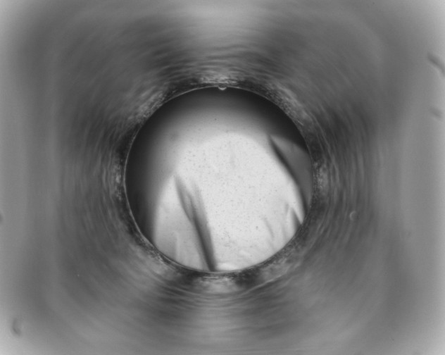 X0000096210322200802011326