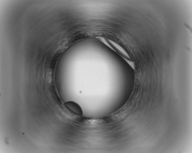 X0000096210323200802011326