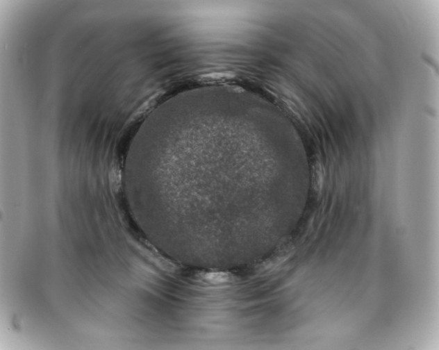 X0000096210324200802011326