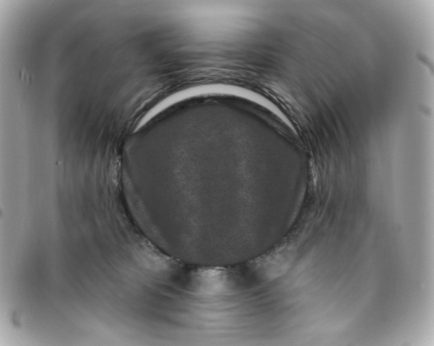 X0000096210325200802011326