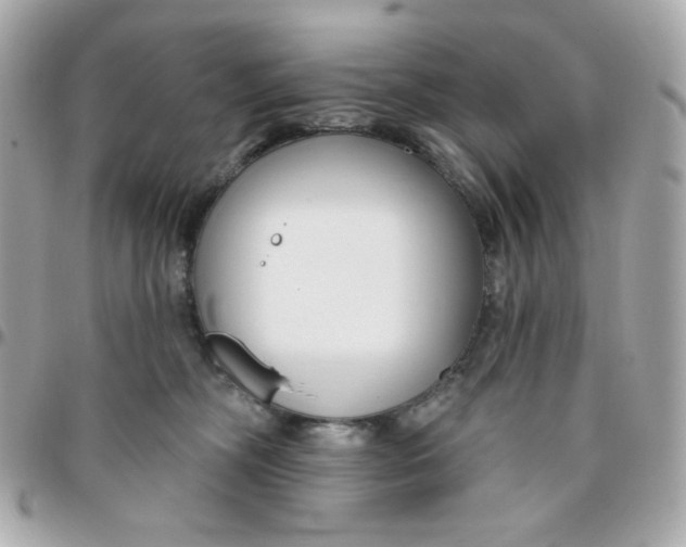 X0000096210326200802011326