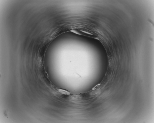 X0000096210327200802011326