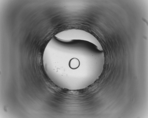 X0000096210328200802011326