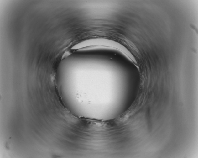 X0000096210329200802011326