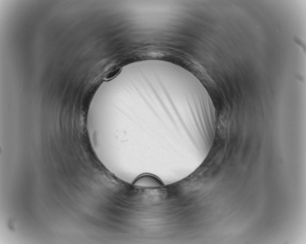 X0000096210330200802011326