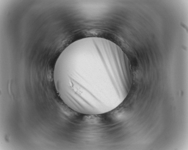 X0000096210331200802011326