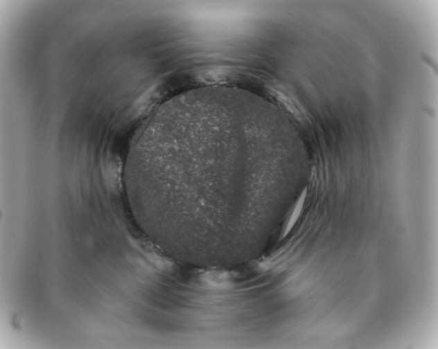 X0000096210332200802011326