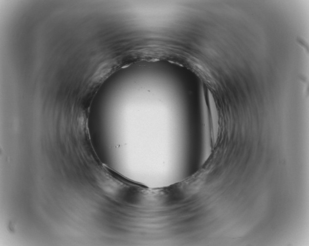 X0000096210333200802011326