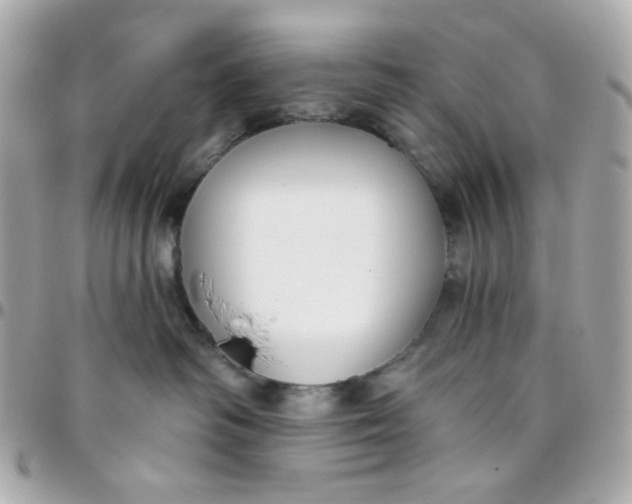 X0000096210334200802011326