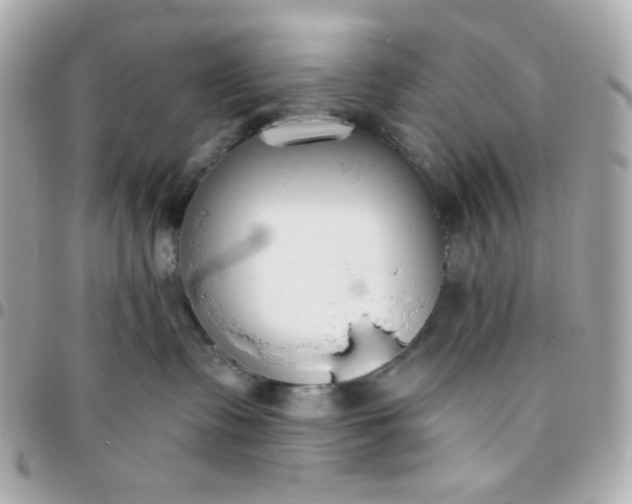 X0000096210335200802011326