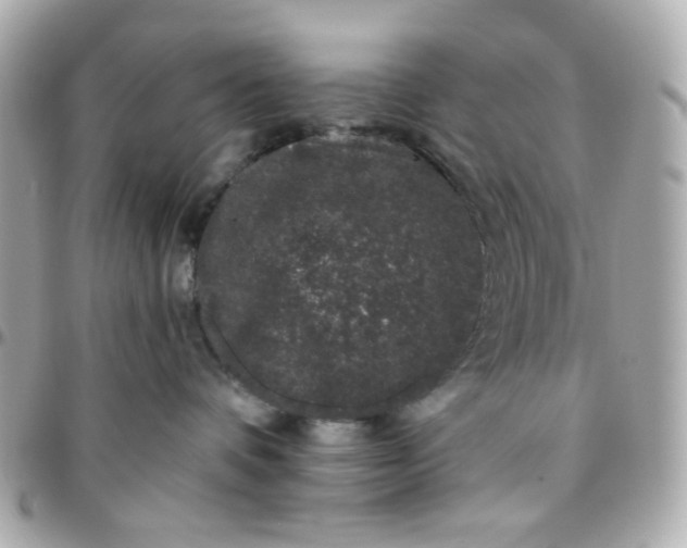 X0000096210336200802011326