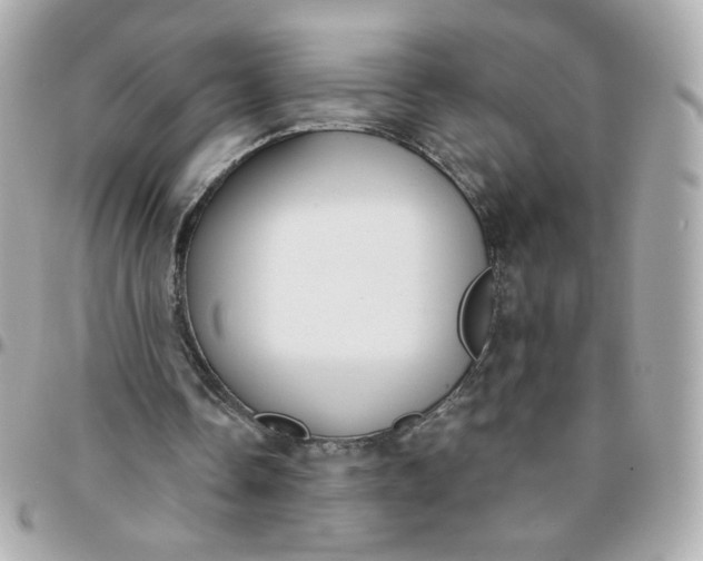 X0000096210338200802011326