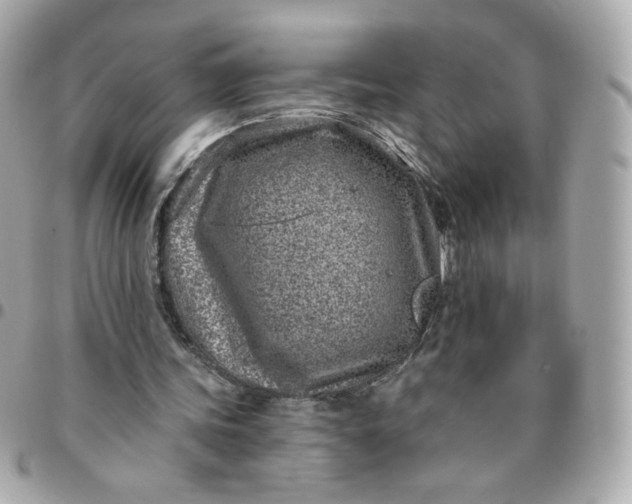 X0000096210339200802011326