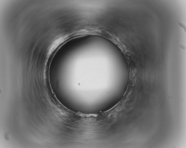 X0000096210340200802011326