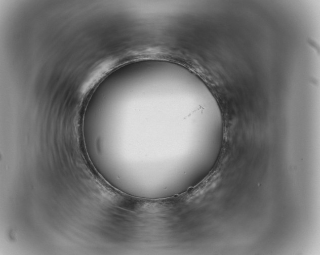 X0000096210341200802011326