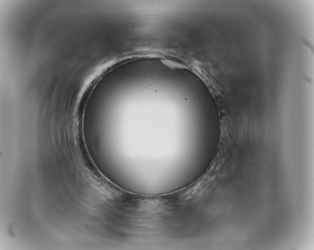 X0000096210342200802011326