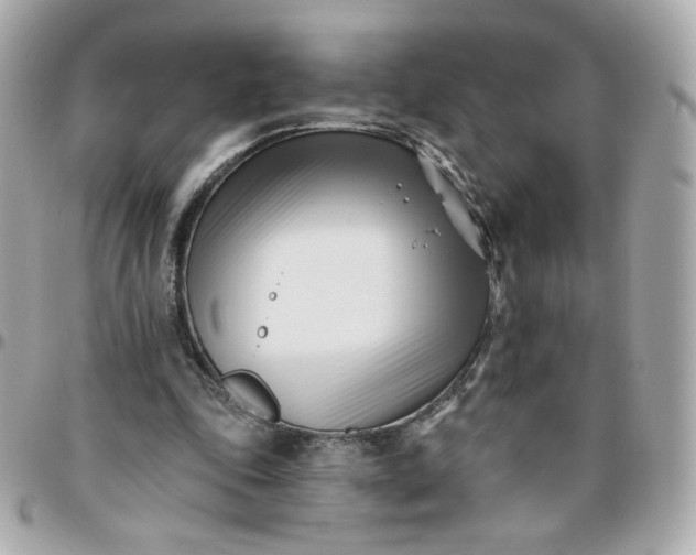 X0000096210343200802011326