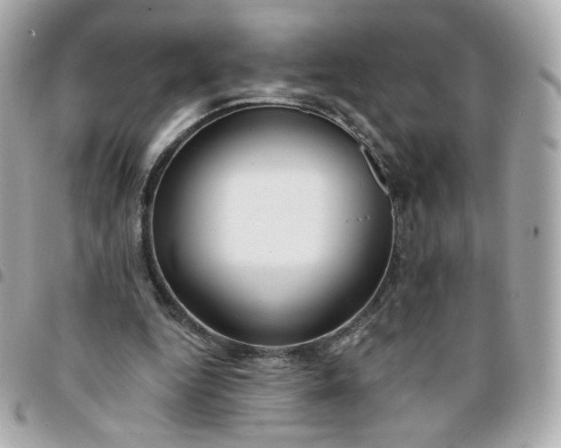 X0000096210344200802011326