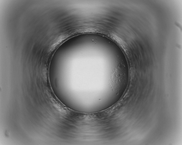 X0000096210345200802011326