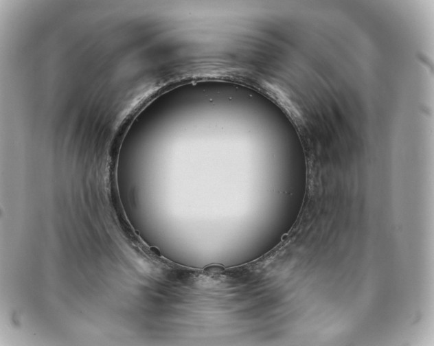 X0000096210346200802011326