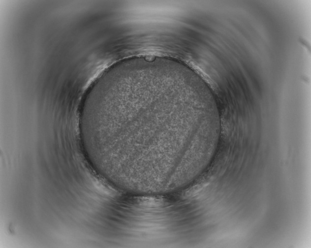 X0000096210347200802011326