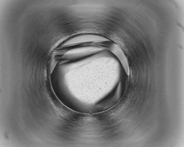 X0000096210348200802011326