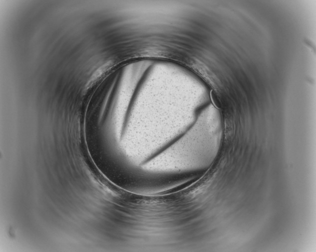 X0000096210349200802011326