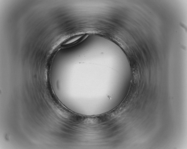 X0000096210350200802011326