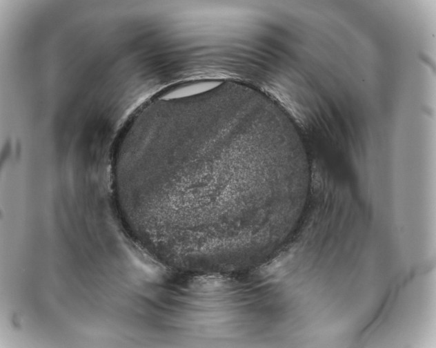 X0000096210351200802011326