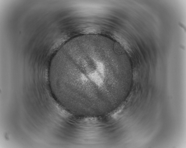 X0000096210353200802011326