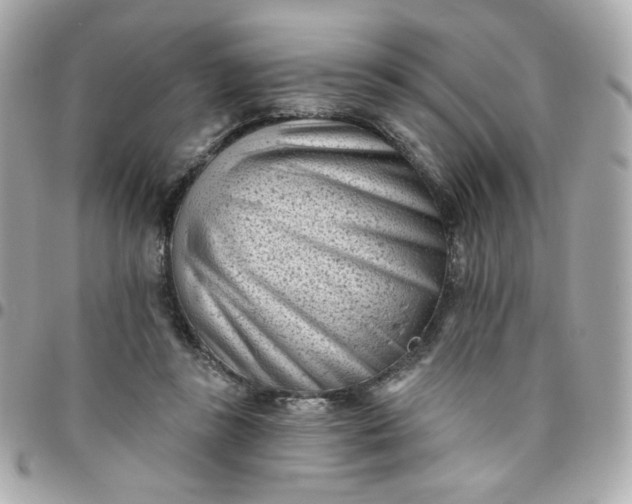 X0000096210355200802011326