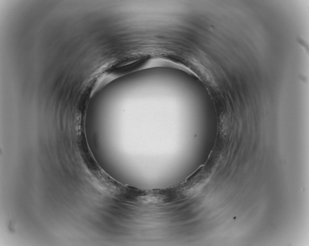 X0000096210356200802011326