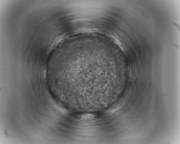 X0000096210357200802011326