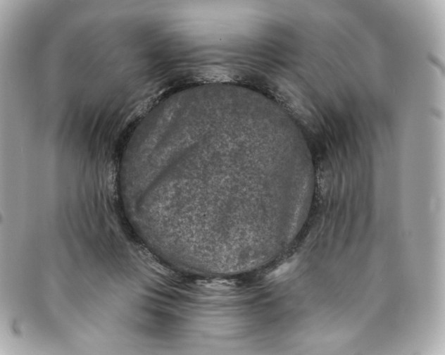 X0000096210359200802011326