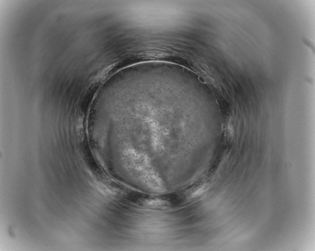 X0000096210360200802011326