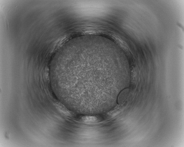 X0000096210361200802011326