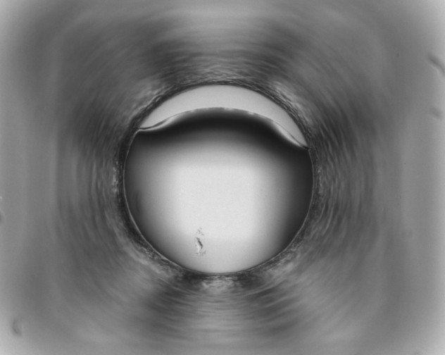 X0000096210362200802011326