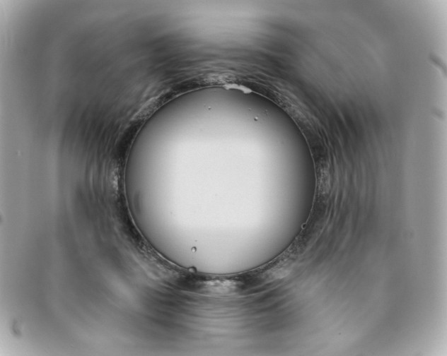 X0000096210363200802011326